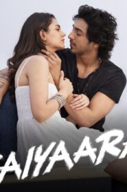 Saiyaara (2025) Hindi Movie